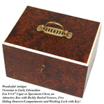 Antique French Victorian Era Burled Walnut Cigar Presenter or Specimen Box, Chest with Five Drawers