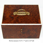 Antique French Victorian Era Burled Walnut Cigar Presenter or Specimen Box, Chest with Five Drawers