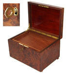 Antique French Victorian Era Burled Walnut Cigar Presenter or Specimen Box, Chest with Five Drawers