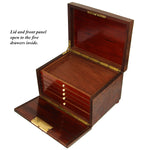 Antique French Victorian Era Burled Walnut Cigar Presenter or Specimen Box, Chest with Five Drawers