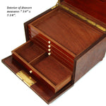 Antique French Victorian Era Burled Walnut Cigar Presenter or Specimen Box, Chest with Five Drawers