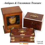 Antique French Victorian Era Burled Walnut Cigar Presenter or Specimen Box, Chest with Five Drawers