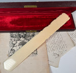 Superb Large Antique French Dieppe Carved IvoryPage Turner, Letter Opener in Original 14" Box