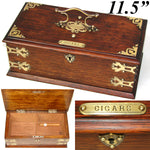 Antique Edwardian Era 11.5" Solid Oak & Gothic Revival Brass Straps "Cigars" Box, Chest