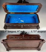 Antique 19th c. HC Swiss Black Forest Glove, Document, Jewelry Box,12.75" w 2 Pheasants