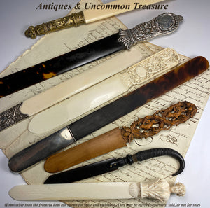 Fine Antique Hand Carved IvoryPaper Knife, Bugs, Dragonfly, Frog, Japonaise, Dieppe