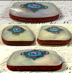 Antique French Kiln-fired Enamel, Silver, Mother of Pearl Coin Purse, Napoleon III (c.1850-70)