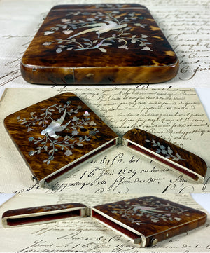 Antique Victorian Era Card Case, Mother of Pearl Marquetry on Tortoise Shell, Napoleon III