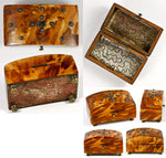 Antique Victorian English Tortoise Shell Needles Box, Caddy - Tortoiseshell