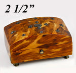 Antique Victorian English Tortoise Shell Needles Box, Caddy - Tortoiseshell