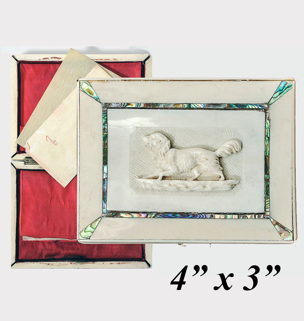 Rare Antique French 4" x 3" Calling Card Case, Ivory, HC Dieppe Ivory Dog, Spaniel, Abalone Accents