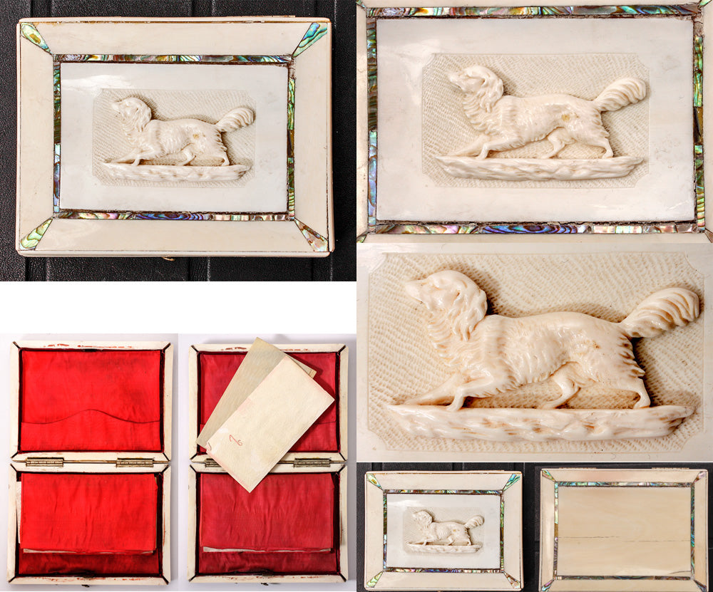 Rare Antique French 4" x 3" Calling Card Case, Ivory, HC Dieppe Ivory Dog, Spaniel, Abalone Accents