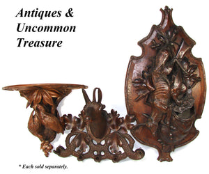 Lg Antique Black Forest Carved 19.5" Riding Crop, Coat or Hat Rack, Trophy Chamois Bust