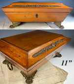 Beautiful 18th c. Georgian Era French Sewing Box, Jewelry Box, Sarcophagus, Paw Feet, Appliques