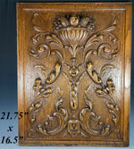 Elegant 19th c. HC Oak Neo-renaissance 22" x 17" Door or Cabinet Panel, Floral Vase, Fruit, Acanthus