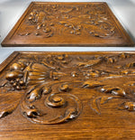 Elegant 19th c. HC Oak Neo-renaissance 22" x 17" Door or Cabinet Panel, Floral Vase, Fruit, Acanthus