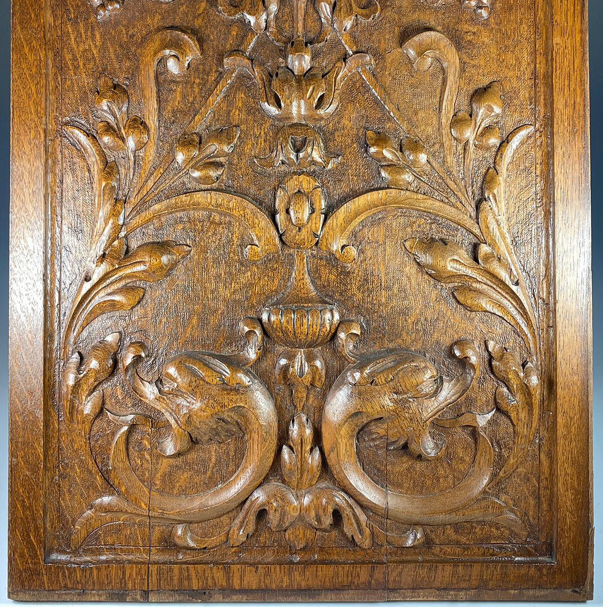 Magnificent 19th c. HC Neo-renaissance Cabinet or Paneling Board, 26" x 17", Cornucopia, Dolphins