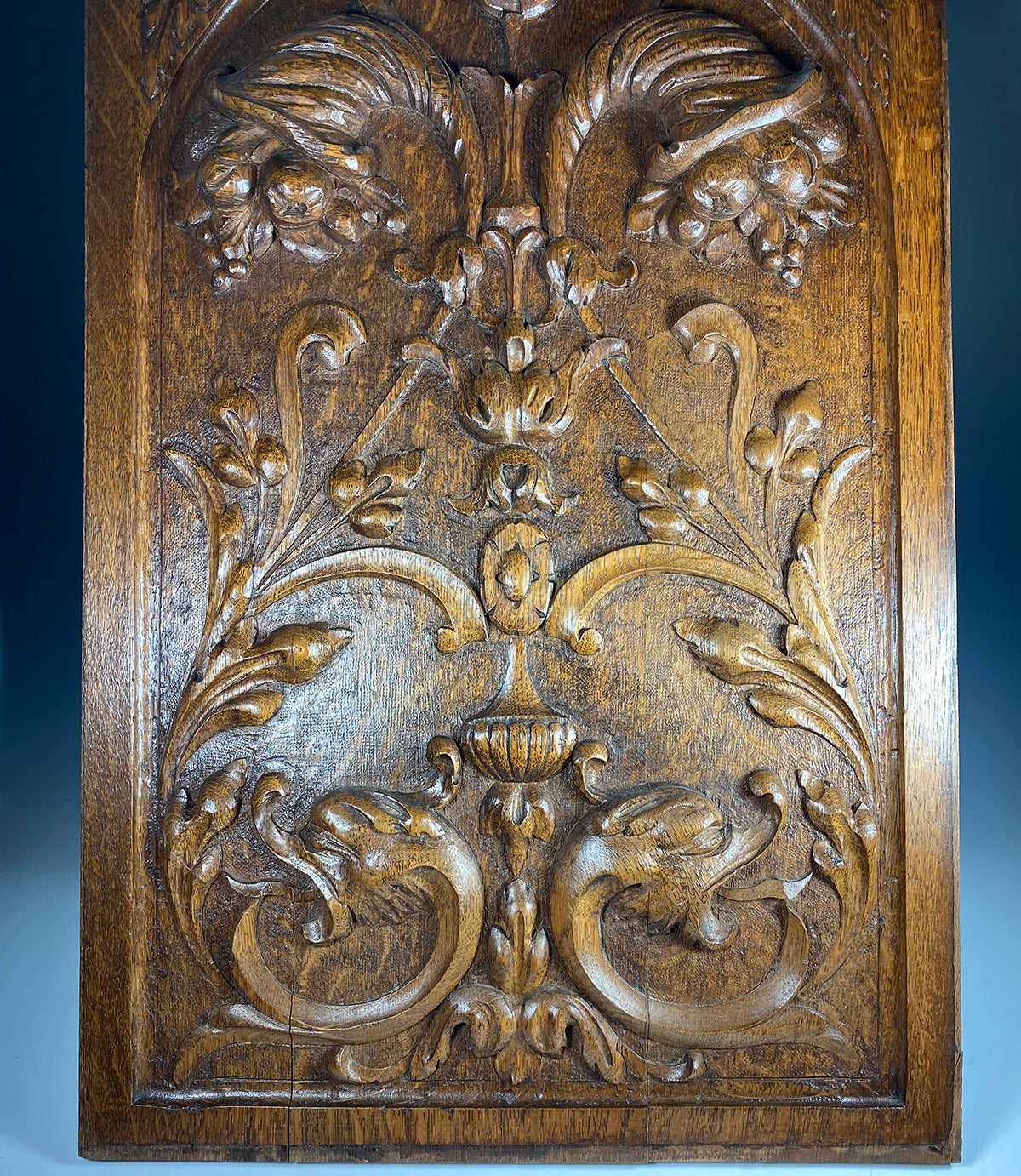 Magnificent 19th c. HC Neo-renaissance Cabinet or Paneling Board, 26" x 17", Cornucopia, Dolphins