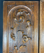 Antique French Hand Carved Cabinet Door Pair, 2 Neo-renaissance Acanthus in Oak