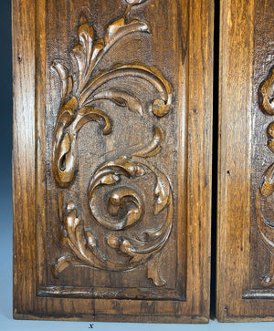 Antique French Hand Carved Cabinet Door Pair, 2 Neo-renaissance Acanthus in Oak