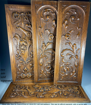 Antique French Hand Carved Cabinet Door Pair, 2 Neo-renaissance Acanthus in Oak