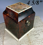 Antique English Edwardian Hinged Caddy, Tea or Cigs, Tortoise Shell and Mother of Pearl Parquet