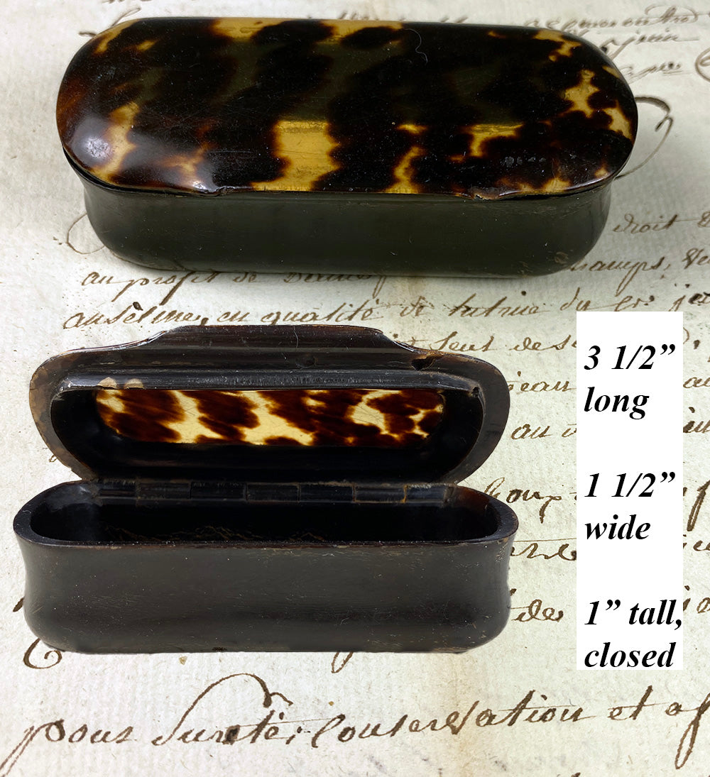 Tortoise Shell Snuff Box Fine Antique French Victorian Era Mottled Tortoise Shell and Horn Snuf ...
