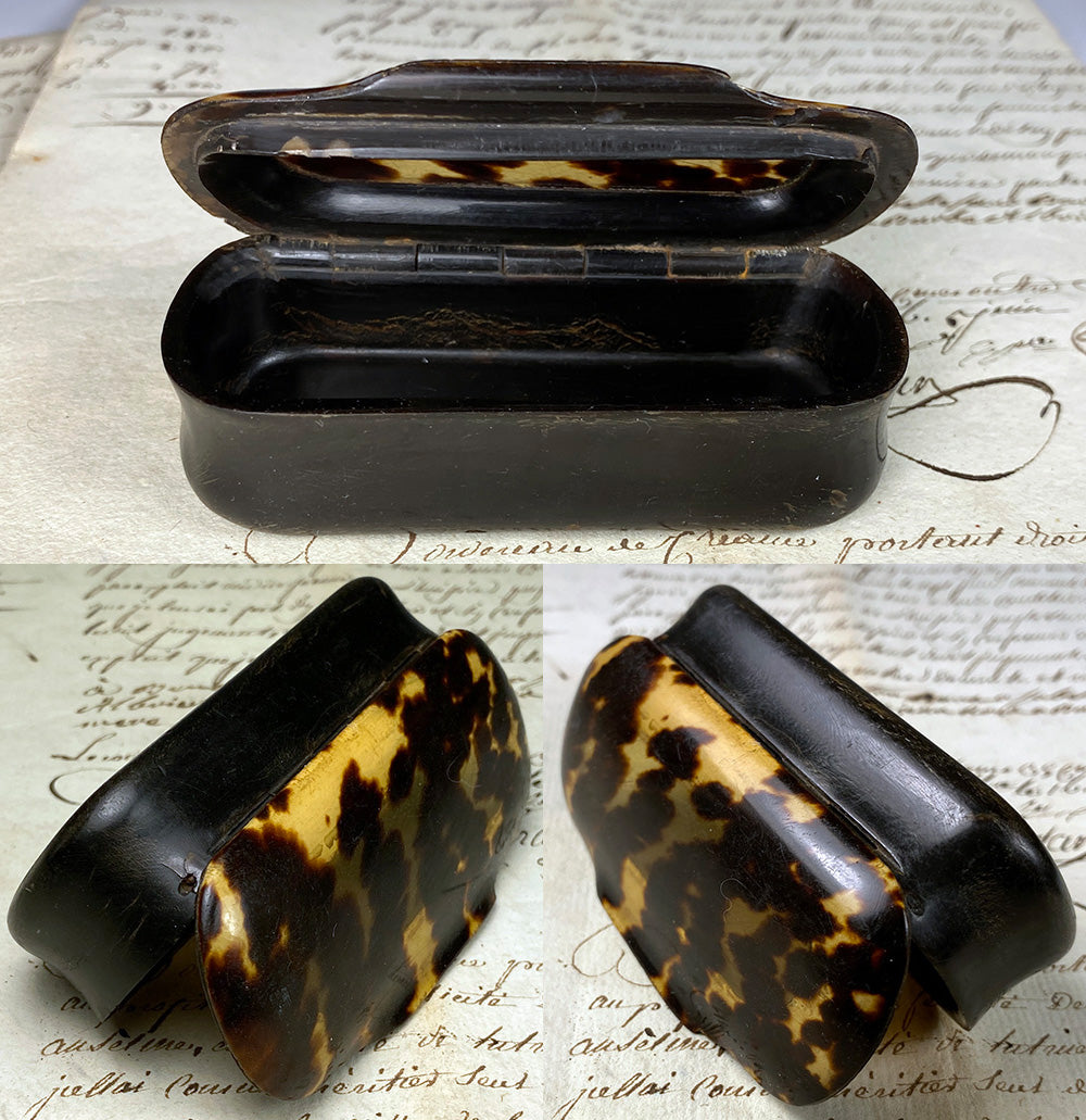 Tortoise Shell Snuff Box Fine Antique French Victorian Era Mottled Tortoise Shell and Horn Snuf ...