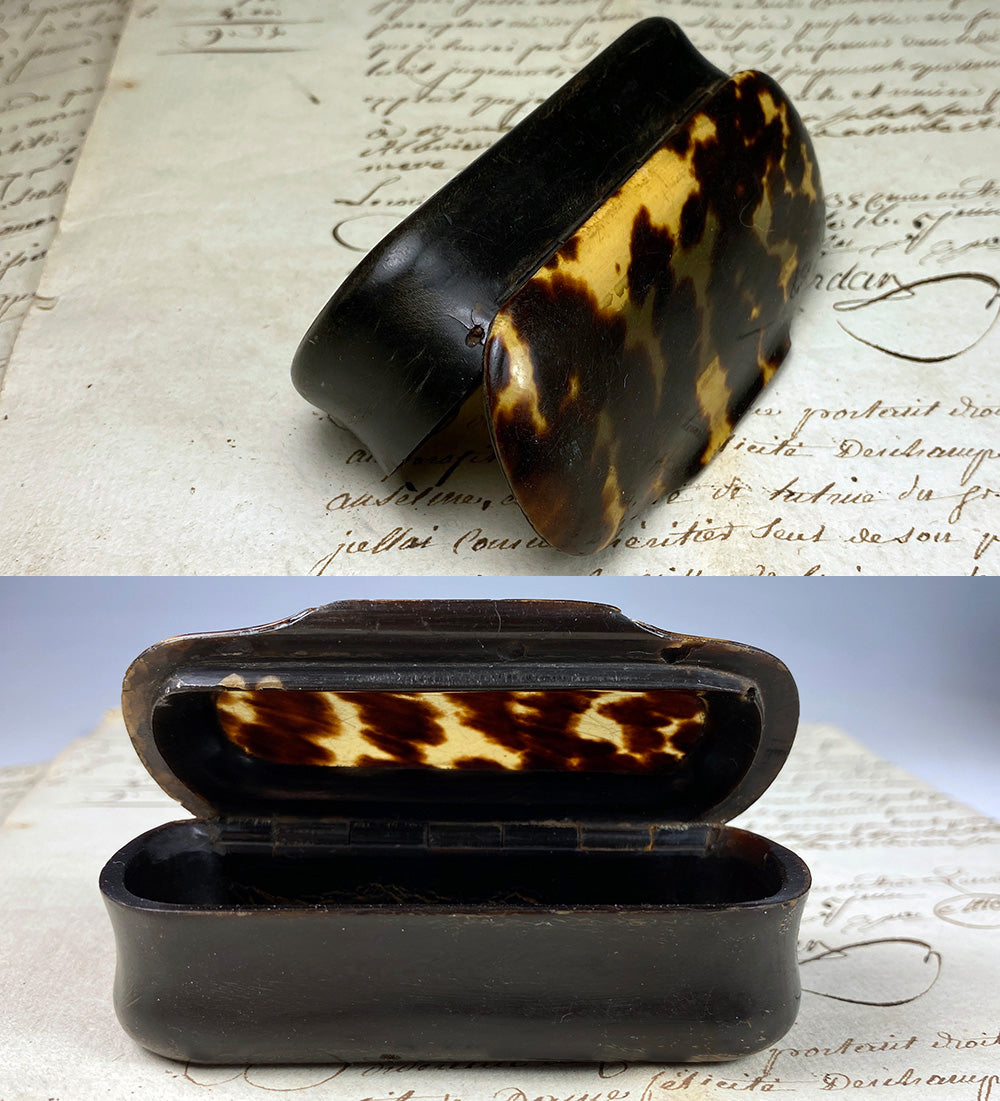 Fine Antique French Victorian Era Mottled Tortoise Shell and Horn Snuff Box, 3 1/2" Long