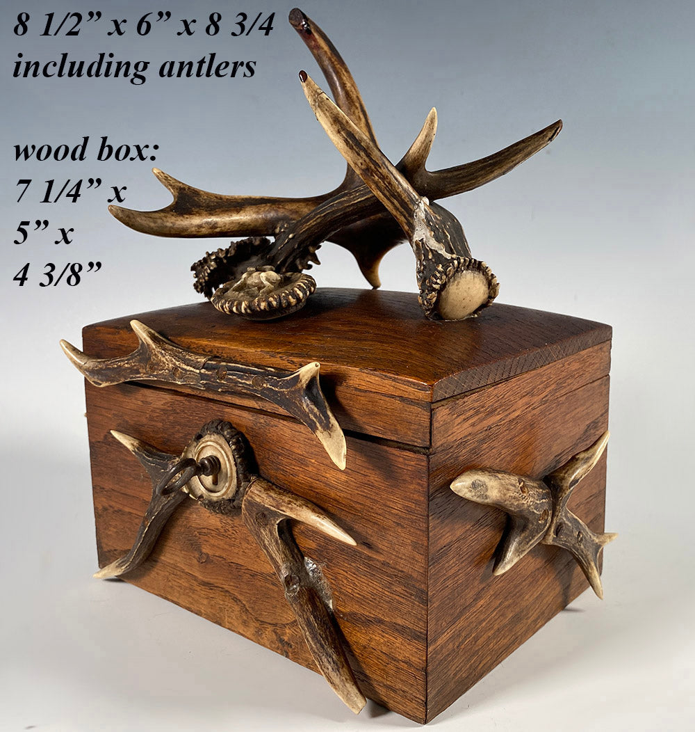 Antique Black Forest Cigar or Jewelry Box, Antlers and Stag Carving, Working Lock and Key