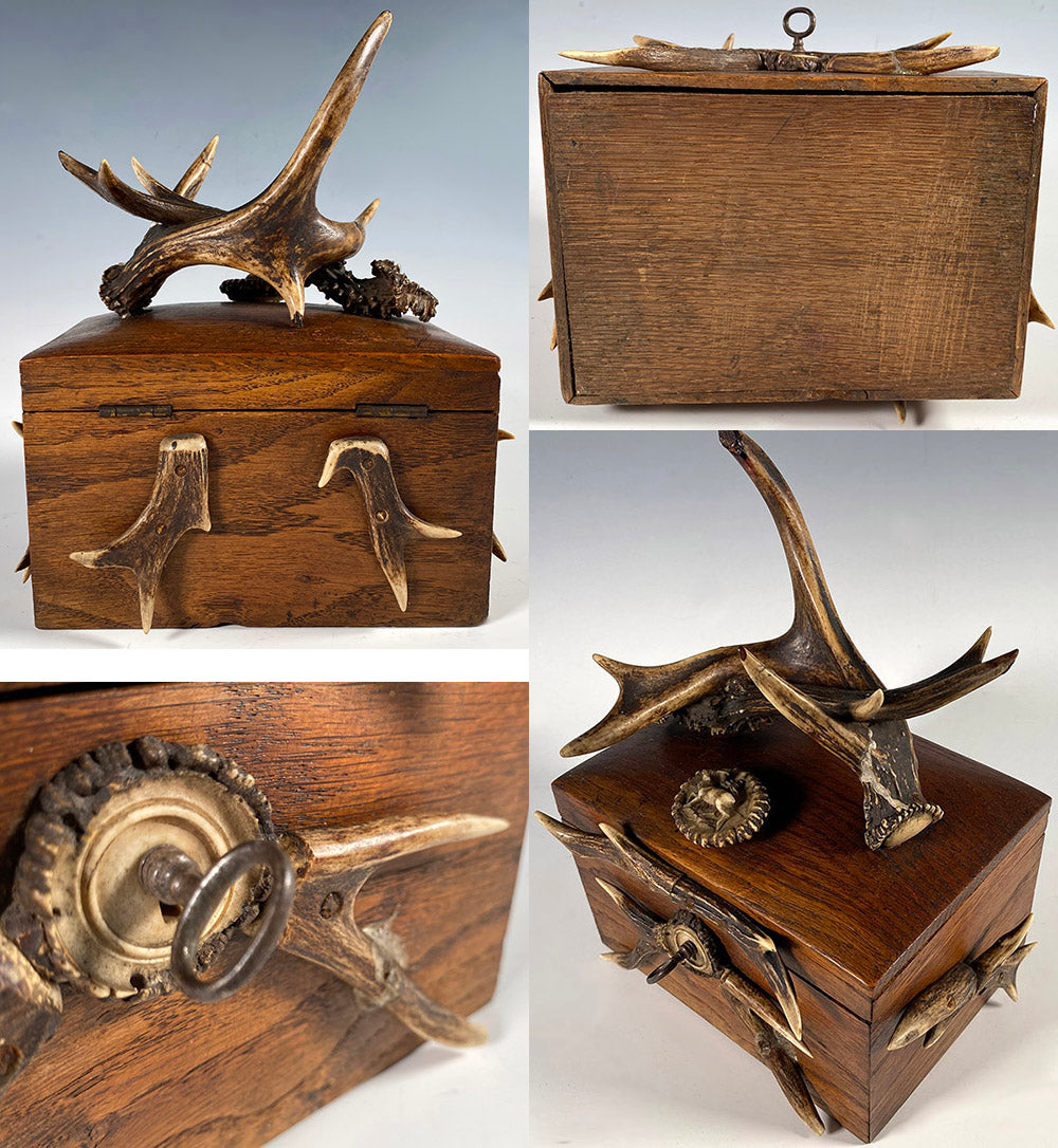 Antique Black Forest Cigar or Jewelry Box, Antlers and Stag Carving, Working Lock and Key