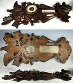 Superb Antique Swiss Black Forest Carved Barometer Plaque, Fruits of the Hunt, Dog and Rifles