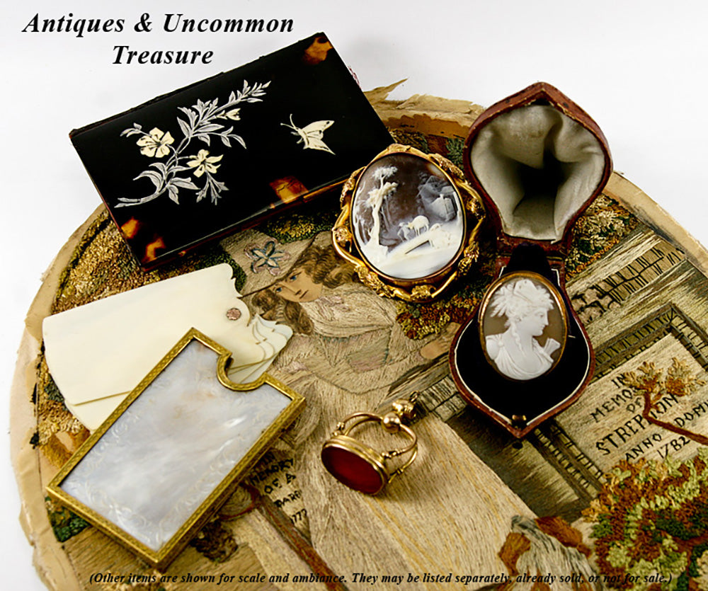 Antique French Necessaire, Carnet Bal in Fine Tortoise Shell Pique Card Case Aide d'Memoire