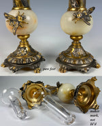 Napoleon Bee 19th c. Bud Vase Pair, Marble and Fluted Glass Inserts, Dore Bronze