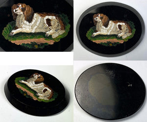 Antique c.1850s Micro Mosaic King Charles Spaniel, Unmounted, Unused, Italy Grand Tour Souvenir, 40mm x 32mm