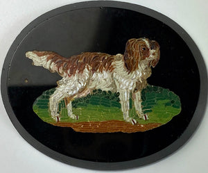 Antique Italy Grand Tour Souvenir Micro Mosaic, King Charles Spaniel, 41mm x 33mm, Unmounted