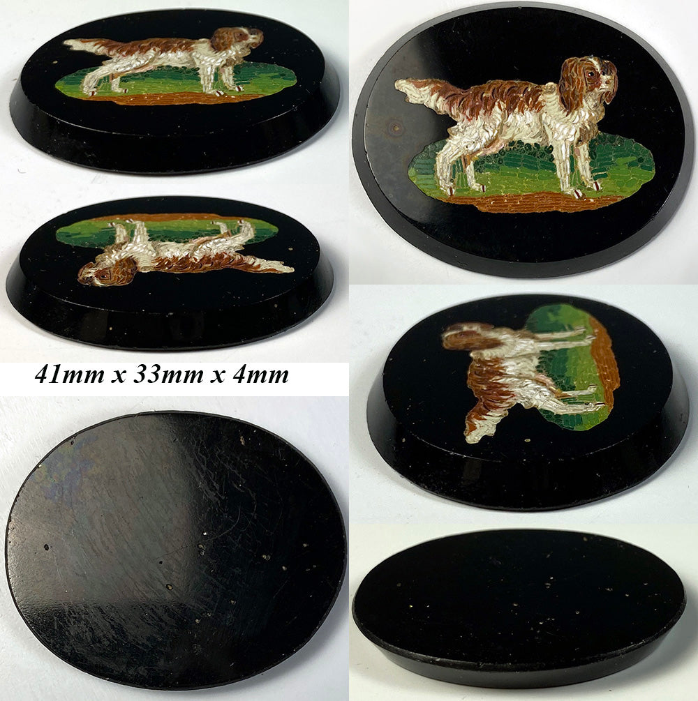 Antique Italy Grand Tour Souvenir Micro Mosaic, King Charles Spaniel, 41mm x 33mm, Unmounted