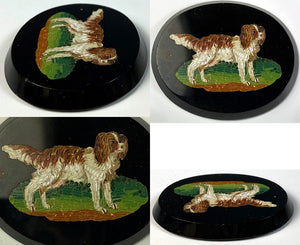 Antique Italy Grand Tour Souvenir Micro Mosaic, King Charles Spaniel, 41mm x 33mm, Unmounted