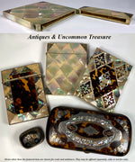 Antique French Mother of Pearl Card Case, Parquet, 4" x 3", Abalone Accents