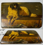 Superb Petit Antique French Oil Painting on Board, Portrait of a King Charles Spaniel