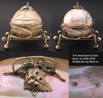 Large Antique French Napoleon III Era Palais Royal Style Mother of Pearl 'Egg' Casket, Souvenir