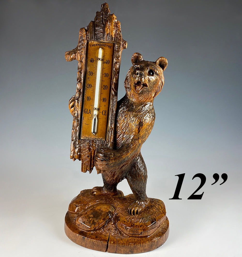 Superb 19th c. Swiss Hand Carved Black Forest 8" Bear, Thermometer Stand is 12" Tall