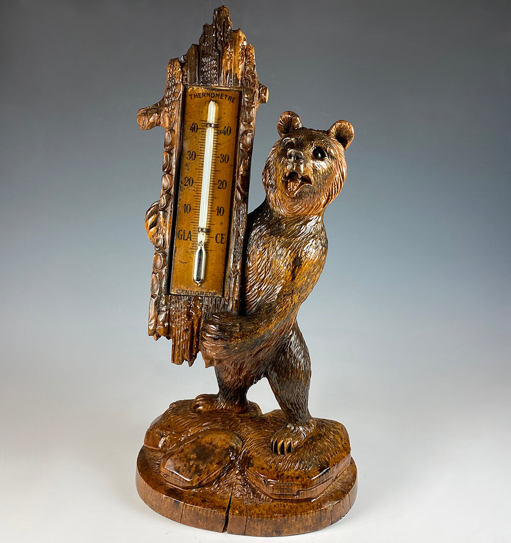 Superb 19th c. Swiss Hand Carved Black Forest 8" Bear, Thermometer Stand is 12" Tall