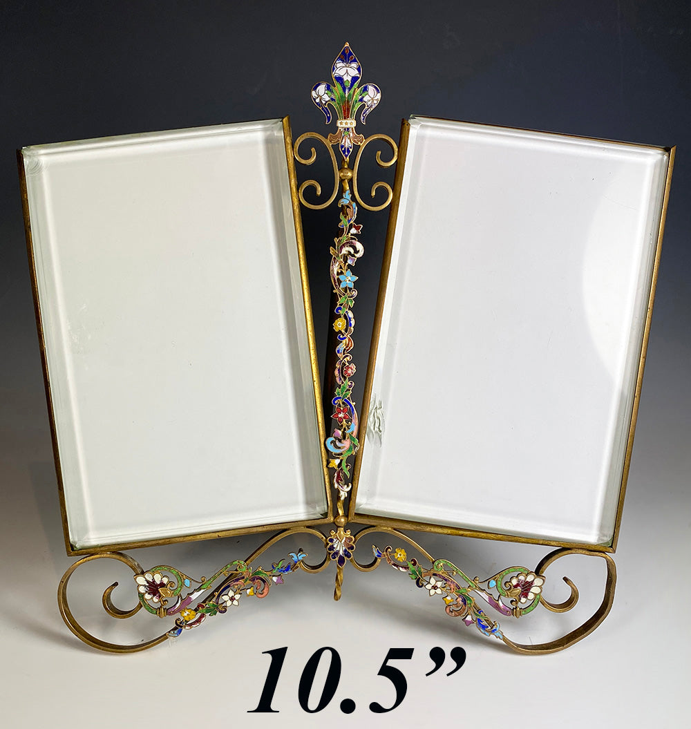 Fabulous Antique French Double Cabinet Card 10.5" Frame with Kiln-fired Champleve Enamel