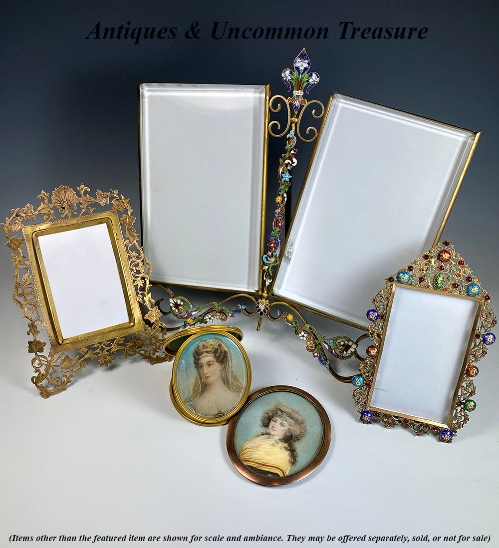 Fabulous Antique French Double Cabinet Card 10.5" Frame with Kiln-fired Champleve Enamel