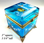 Antique 19th c. Electric Blue Bohemian Glass Box, Enameled w Birds, Bugs, Jewelry Casket