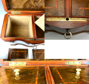 Superb Antique French Napoleon III Kingwood Box, Double Well Tea Caddy, c.1850-70