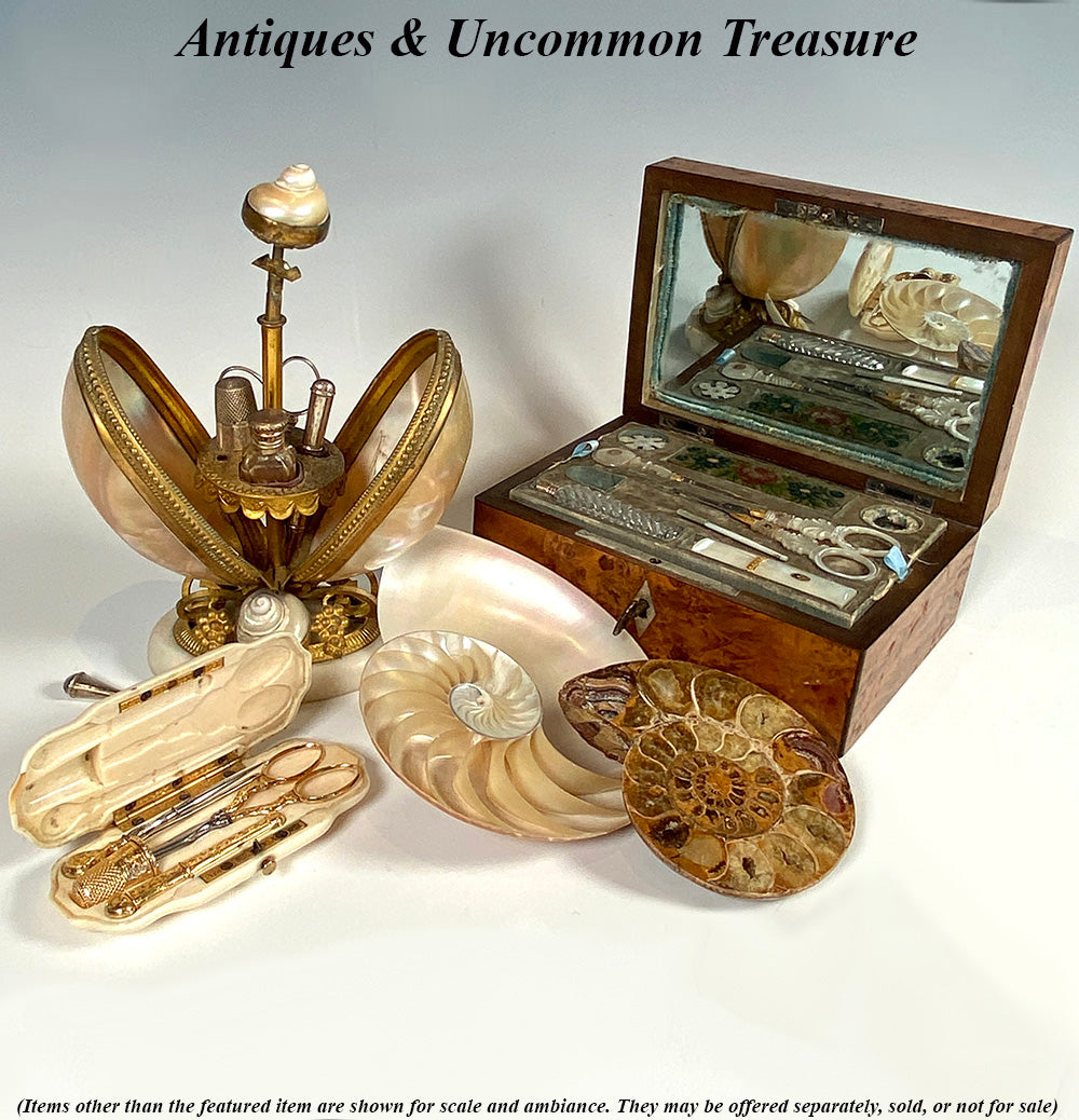 Antique 19th Century French Sewing Set, Ivory Etui, Necessaire, Sterli –  Antiques & Uncommon Treasure