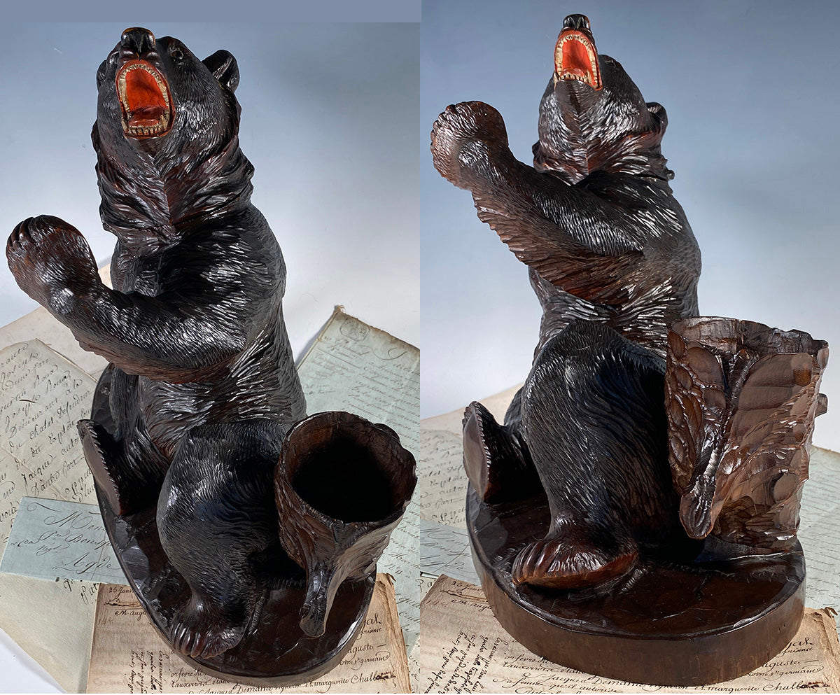 HUGE Antique Swiss Black Forest Carved Wood Bear Smoker's Stand, Cigar Box 14" Tall - Bear Would Be 19" Tall if Standing!