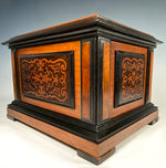 Stunning Large Antique French Cigar Caddy, Cabinet, Box 13" x 10" Marquetry Chest Holds 48 Cigars